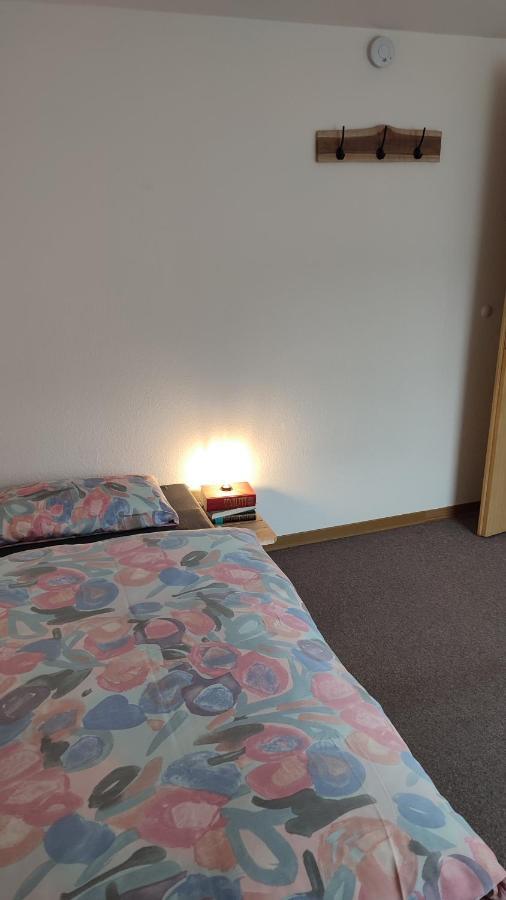 Leimbach Apartment Bad Brueckenau Ngoại thất bức ảnh